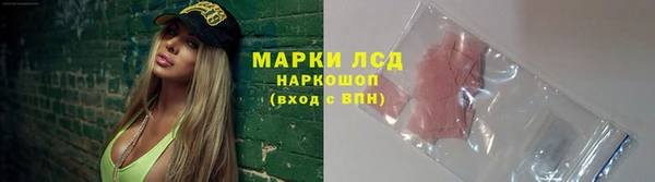 ПСИЛОЦИБИНОВЫЕ ГРИБЫ Заводоуковск