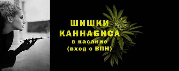 ПСИЛОЦИБИНОВЫЕ ГРИБЫ Заводоуковск