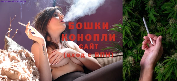 ПСИЛОЦИБИНОВЫЕ ГРИБЫ Заводоуковск