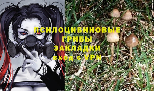 стафф Заволжье